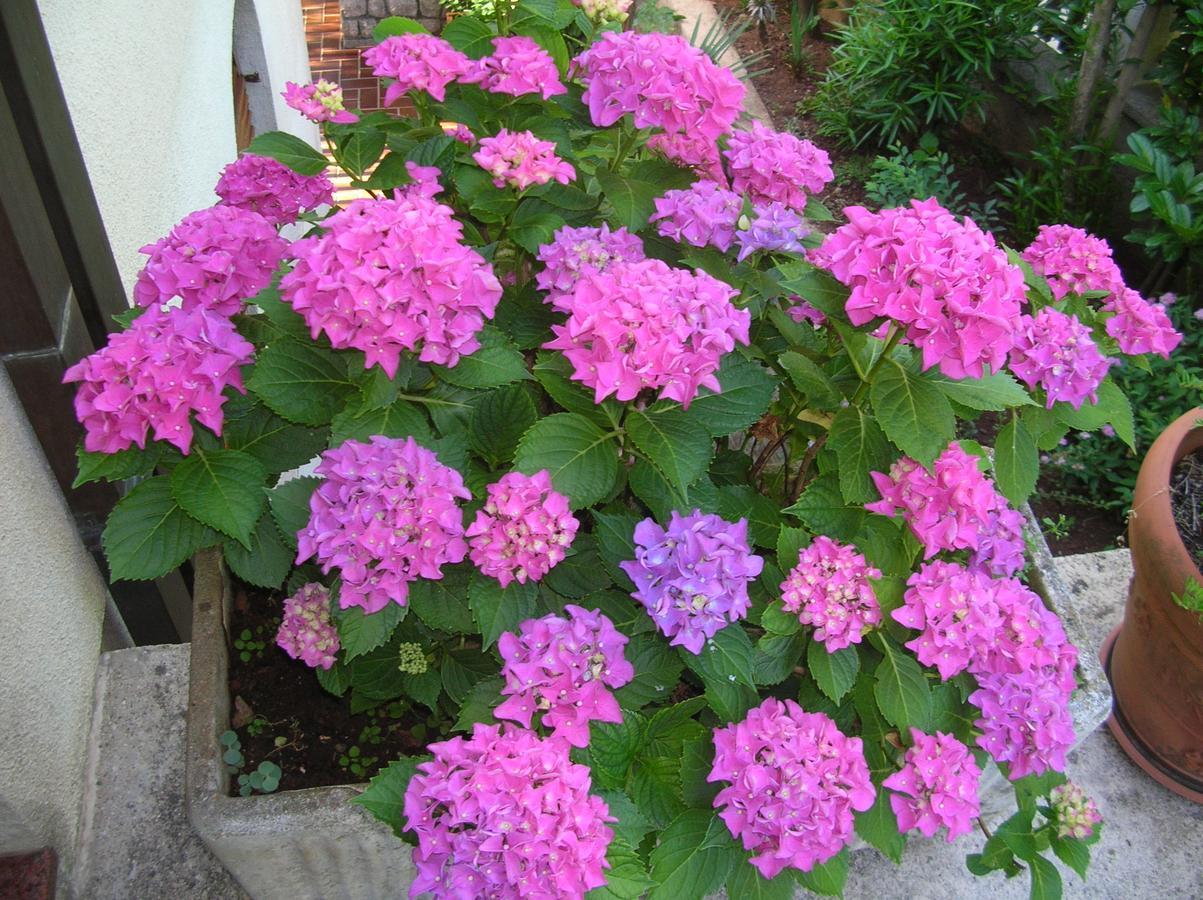 Vacation Home Lucija Slatina  Esterno foto